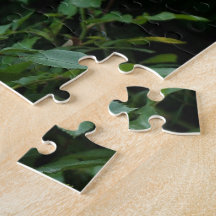 bonito arbustos cor-de-rosa e rosa branca. Floral,