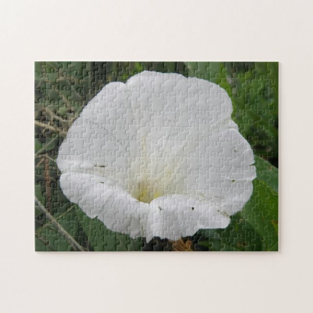 Quebra-cabeça bonito de Flor Convolúvel Branco (Horizontal)