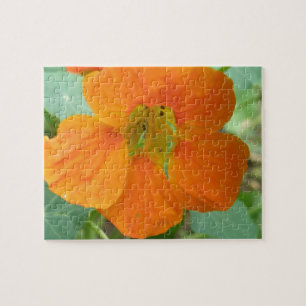 Quebra-cabeça Bonito de Nasturtium