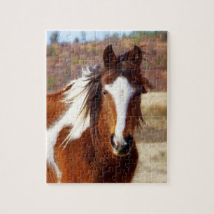 Quebra-cabeça bonito do cavalo da pintura