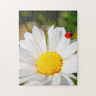 Quebra-cabeça Bonito Espingarda-de-Estilo Marguerite