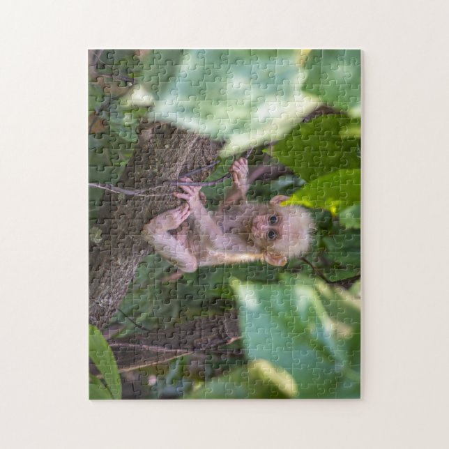Quebra-cabeça Bonito Feixe Perfurado Macaque (Vertical)