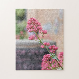 Quebra-cabeça Bonito Flores Rosa Foto Inglês da Natureza do Jard