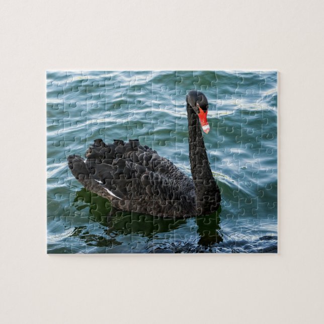 Quebra-cabeça Bonito Swan Negro (Horizontal)