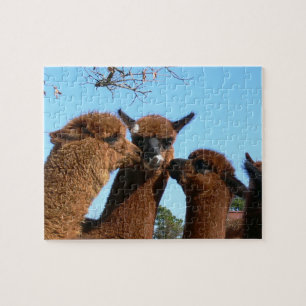 Quebra-cabeça bonitos da alpaca com caixa de