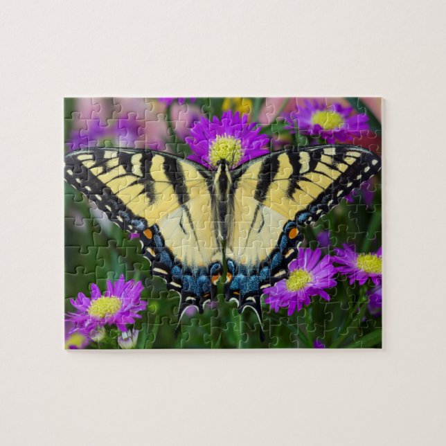 Quebra-cabeça Borboleta-do-hambúrguer na margarida (Horizontal)