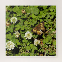 Borboleta Entre Flores