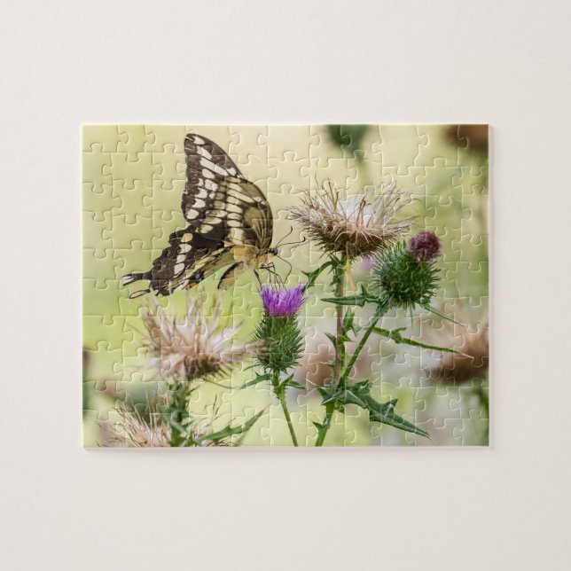 Quebra-cabeça Borboleta gigante (Horizontal)