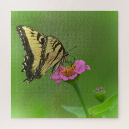 Quebra-cabeça Borboleta Gorda Na Zinnia
