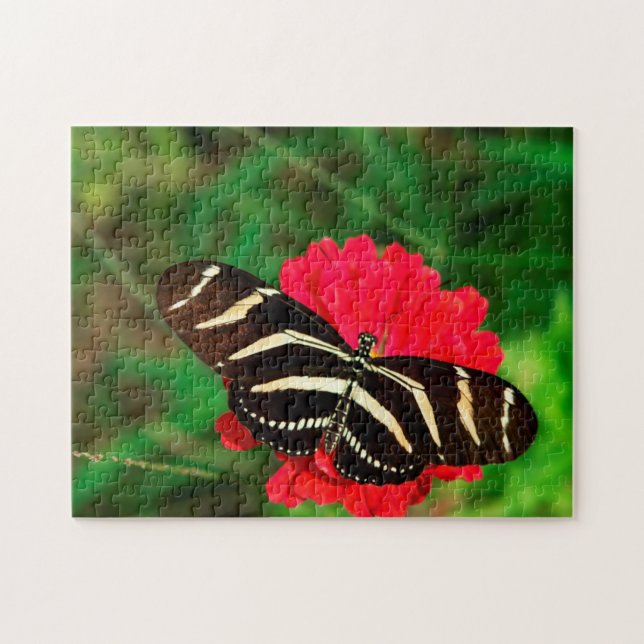 Quebra-cabeça Borboleta Longwing Zebra. (Horizontal)