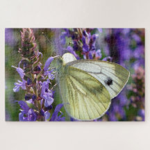 Borboleta Pieris Rapae Branca.