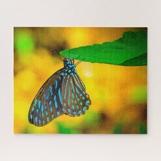 Quebra-cabeça Borboleta Pintada de Zebra. (Horizontal)