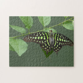 Quebra-cabeça Borboleta verde-curva