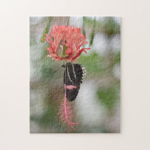 Quebra-cabeça Borboletas Borboletas Natureza Jardim Fotográfico