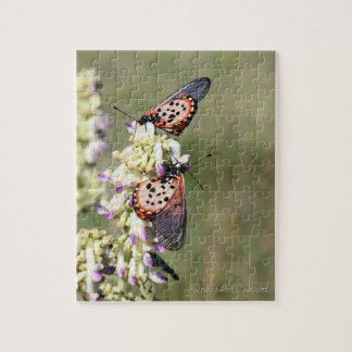 Quebra-cabeça Borboletas Captam Na "Montanha Amajuba"