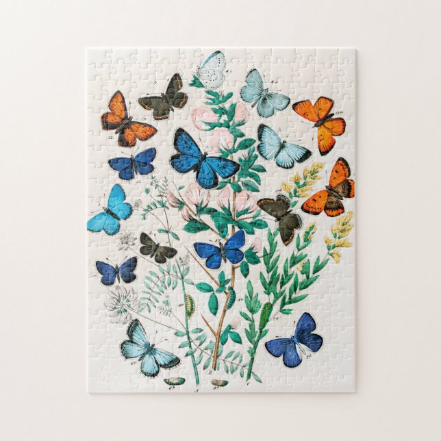 Quebra-cabeça Borboletas, lagartas de William Forsell Kirby (Vertical)