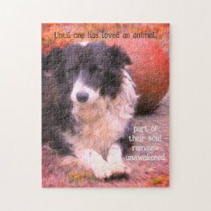 Quebra-cabeça Borda Collie E Ball Dog Art Inspiron