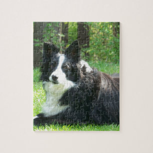 Quebra-cabeça Border collie