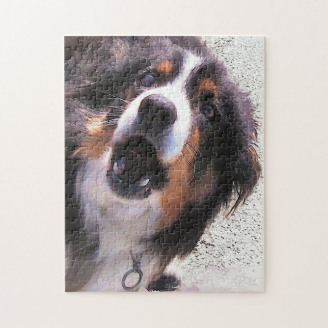 QUEBRA-CABEÇA BORDER COLLIE (Vertical)