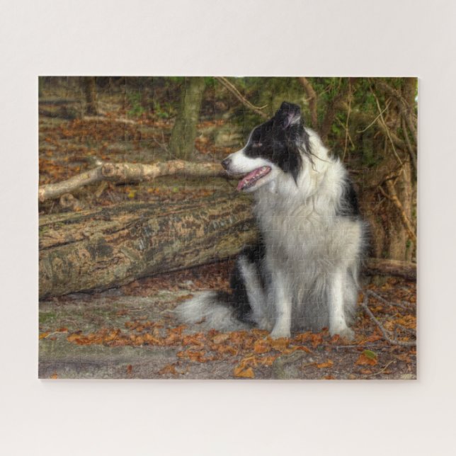 Quebra-cabeça Border Collie na Floresta (Horizontal)