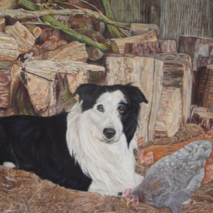Quebra-cabeça border collie no registro derramado com retrato