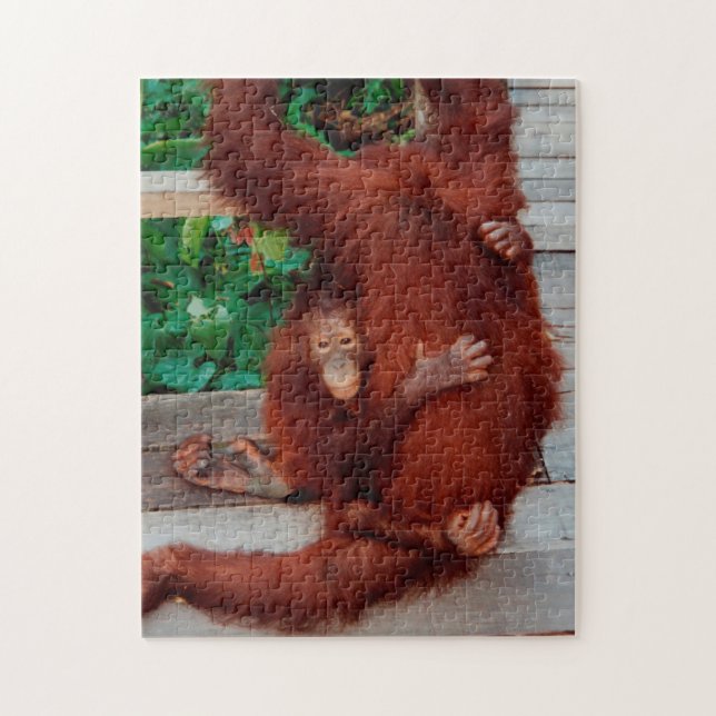 Quebra-cabeça Borneo orangutan 252-pc (Vertical)