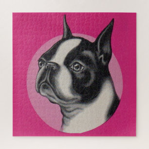 Quebra-cabeça Boston terrier