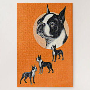Quebra-cabeça Boston terriers