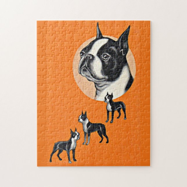 Quebra-cabeça  Boston terriers (Vertical)