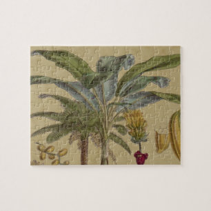 Quebra-cabeça Botânica Antica Fruta Tropical Palm