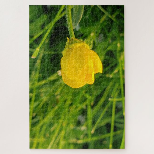 Quebra-cabeça botão de ouro (Vertical)