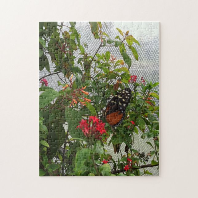 QUEBRA-CABEÇA BOTÃO LARANJA (Vertical)