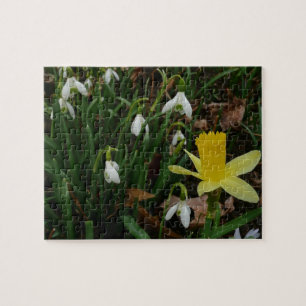 Quebra-cabeça Botas de neve e Daffodil Primavera Floral