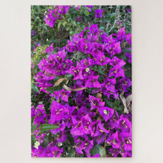 Quebra-cabeça Bougainvillea Roxa, Oakland
