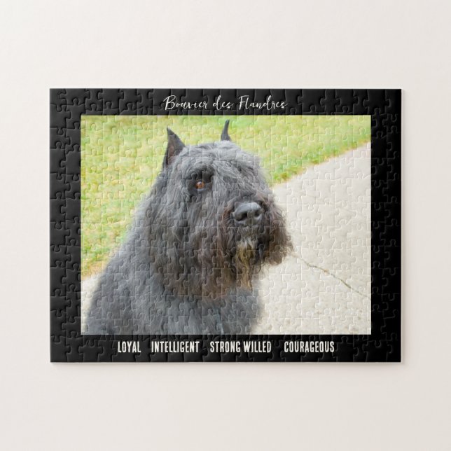 Quebra-cabeça Bouvier des Flandres Photo Dog Breed (Horizontal)
