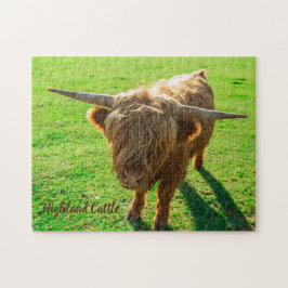 Quebra-cabeça Bovinos de terras altas para animais e amantes da 