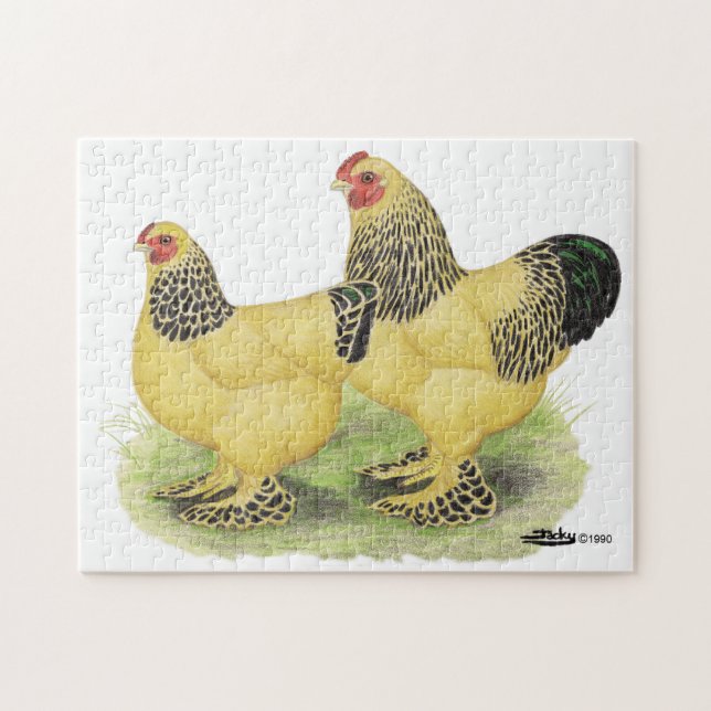 Quebra-cabeça Brahma Buff Pair (Horizontal)