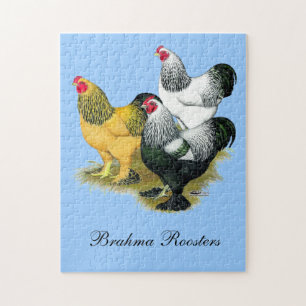 Quebra-cabeça Brahmas Three Roosters