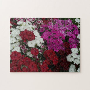 Quebra-cabeça Branco, Rosa e Vermelho Dianthus Floral