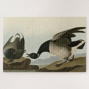 Quebra-cabeça Brant Goose (Brant) das Aves de Audubon da América