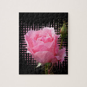 Quebra-cabeça brecha rosa rosa rosa rosa