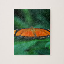 Bright Orange and Black Butterfly on Leaf