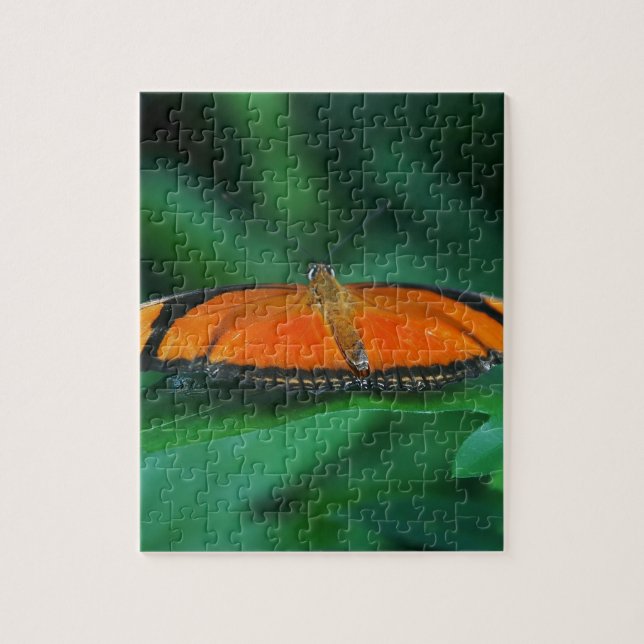 Quebra-cabeça Bright Orange and Black Butterfly on Leaf (Vertical)