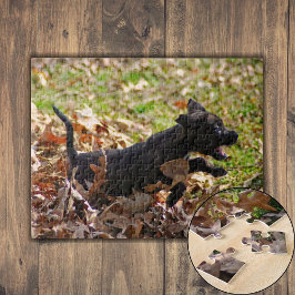 Quebra-cabeça Brindle Puppy Corre Através De Folhas