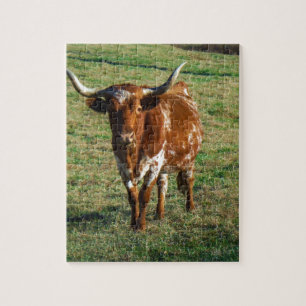 Quebra-cabeça Brown and White Longhorn Bull