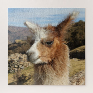Quebra-cabeça Brown Llama Close-up Face Profile - Cusco Peru