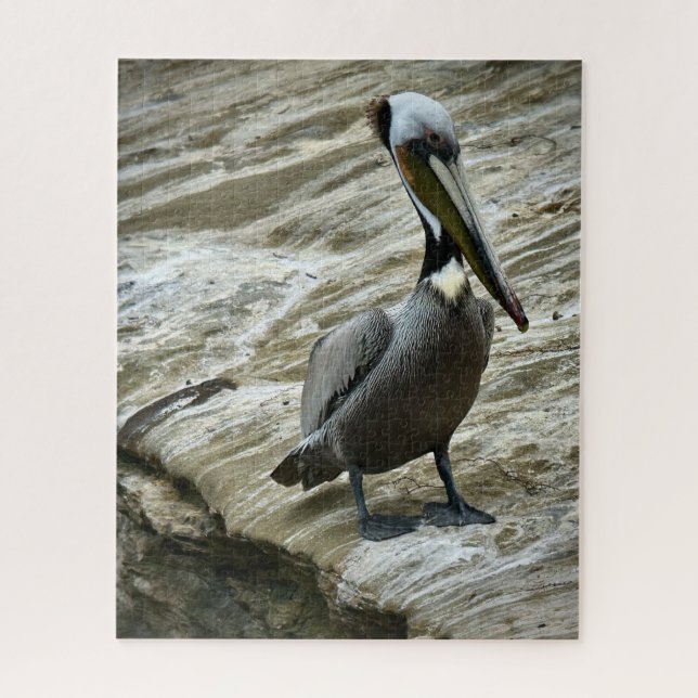 Quebra-cabeça Brown Pelican (Vertical)