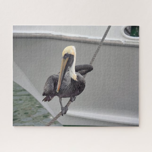 Quebra-cabeça Brown Pelican Balancing on a Rope, Florida Quebra- (Horizontal)