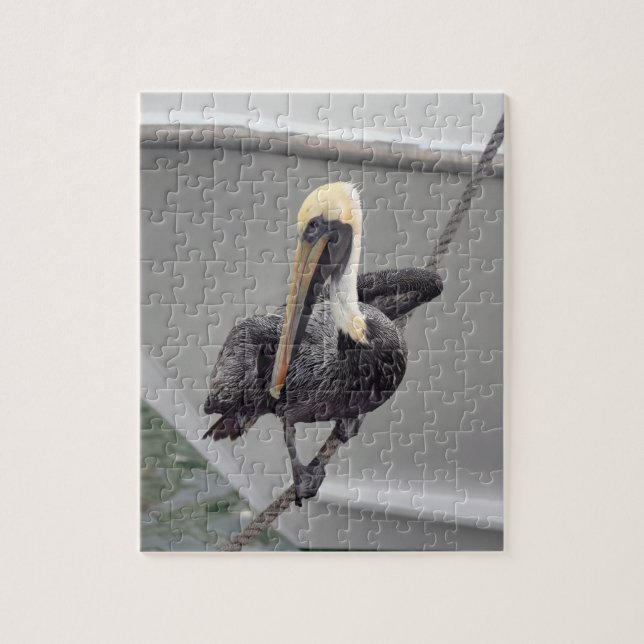 Quebra-cabeça Brown Pelican Balancing on a Rope, Florida Quebra- (Vertical)