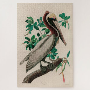 Quebra-cabeça Brown Pelican Birds of America Audubon Impressão